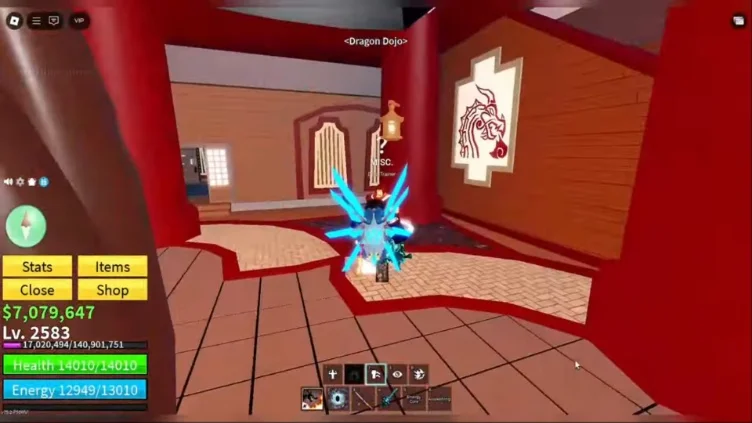 The Dojo Trainer NPC dialogue menu in the Dragon Dojo.