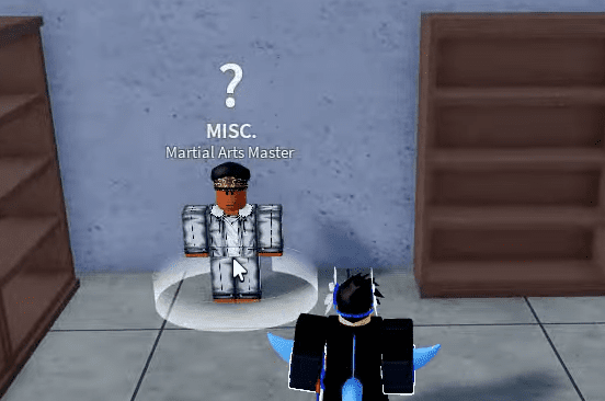 Martial Arts Master NPC standing in the Castle on the Sea location